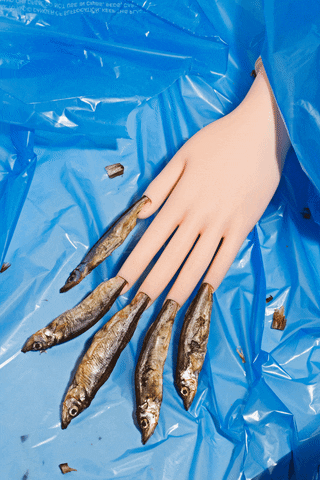 fish nails GIF by Phyllis Ma