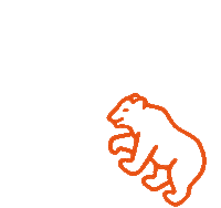 BerndorfBandGroup orangebear berndorf berndorfbandgroup berndorfbären Sticker