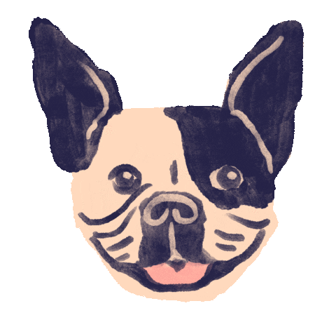 French Bulldog Dog Sticker by Kat Schneider