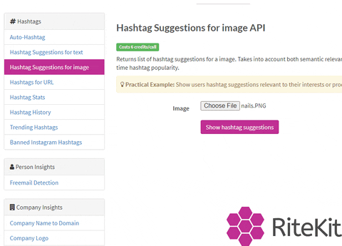 Web Developers Dev GIF by RiteTag