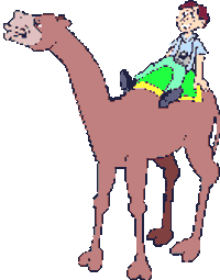 camel STICKER