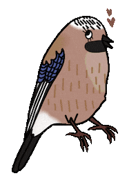 Bird Jay Sticker