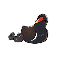Daily Birds Sticker