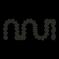 MUITEC muitec muiwow muionline GIF