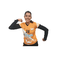 Sport Sticker by Fenice Pallavolo Roma