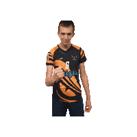 Cieslak Sticker by Fenice Pallavolo Roma