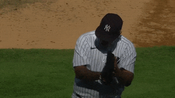 Sport Baseball GIF by MLB