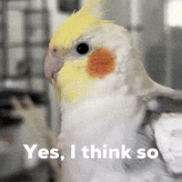 Yes GIF