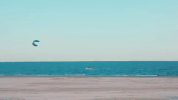 south carolina GIF
