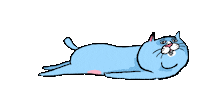 ehcat cat neko ehcat Sticker