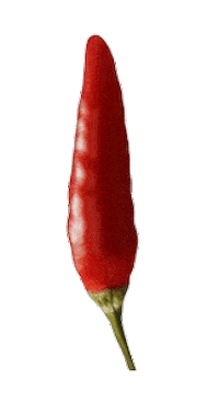 smoking hot red pepper Sticker by Nando's