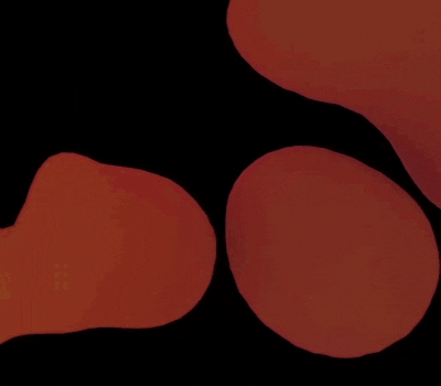 c4d GIF by Martin Onassis