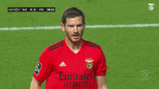 Sl Benfica Slbgif GIF by Sport Lisboa e Benfica