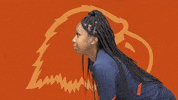 C-N Volleyball GIF by Carson-Newman Athletics