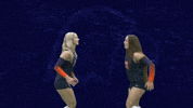 Cnvb GIF by Carson-Newman Athletics