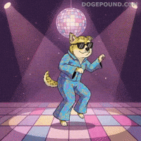 Happy Dance Floor GIF by Doge Pound