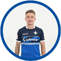 2 Bundesliga Football Sticker by SV Darmstadt 1898 e.V.