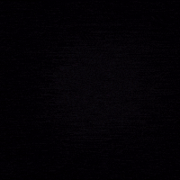 GIF by Neon Gold Records