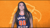 Cnwb19 GIF by Carson-Newman Athletics