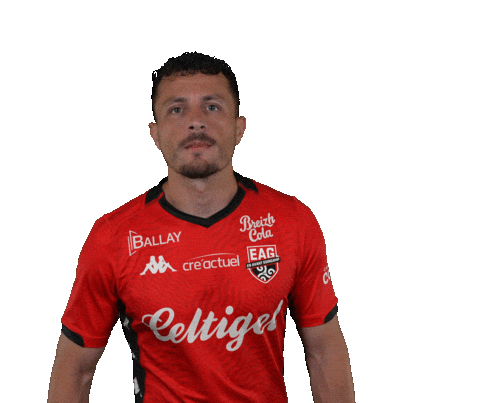 Ligue 2 Football Sticker by EA Guingamp