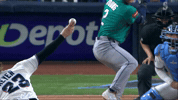 Home Run Baseball GIF by MLB