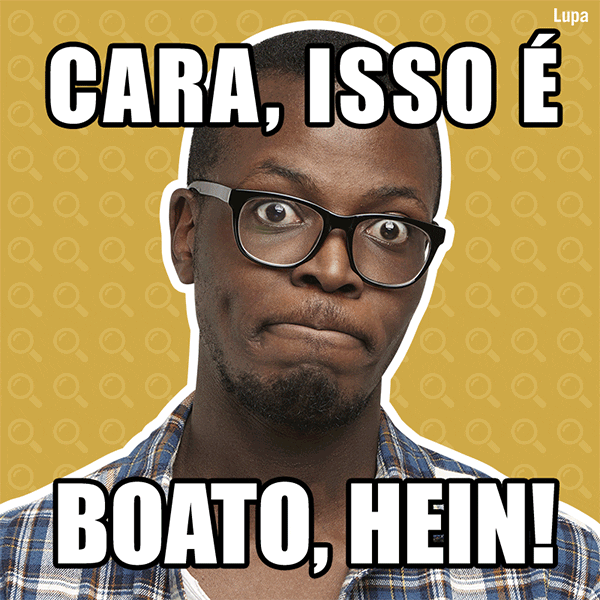 _agencialupa_ giphyupload fakenews boatos agencialupa GIF