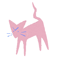 Angry Cat Sticker by Radhia Rahman