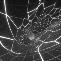 Black And White Art GIF by Pi-Slices