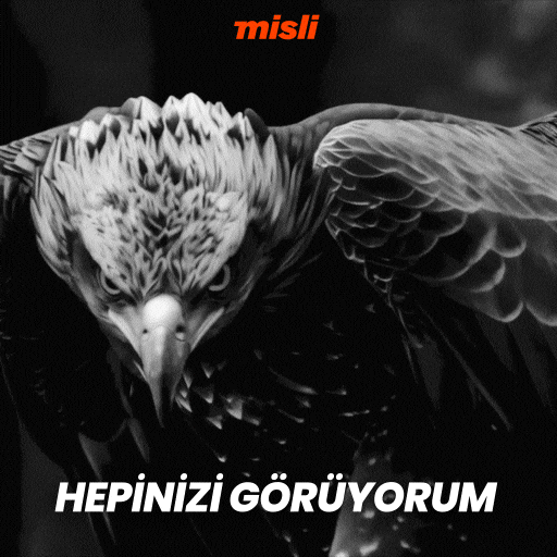 Tammyabraham GIF by Misli