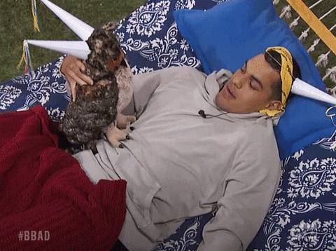 big brother GIF by Big Brother After Dark