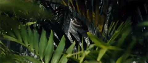raptors GIF