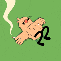 Bird Smoking GIF by Dippies