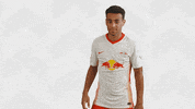 Red Bull Football GIF by RB Leipzig