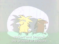 nickrewind nicksplat angry beavers GIF