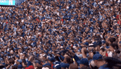 Blue Jays Celebration GIF by Toronto Blue Jays