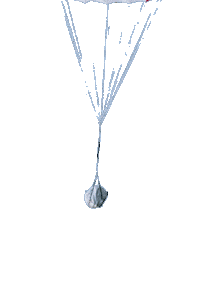 hpiswiss drop parachute hpi Sticker
