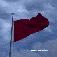 Flag Morocco GIF