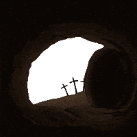 Easter Sunday Penguin GIF by Pudgy Penguins