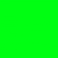 matthew_harris flower rose purple falling GIF