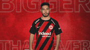 Eintracht Frankfurt GIF by Bundesliga