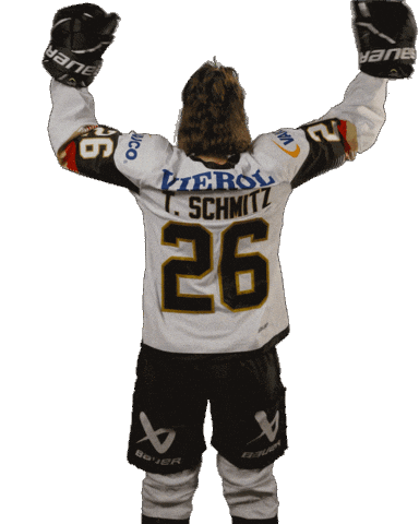 Ice Hockey Sticker by deb_teams