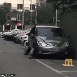 cuteanimalland giphyupload GIF