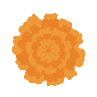 Fortune Pongal Contest Sticker by influencerin