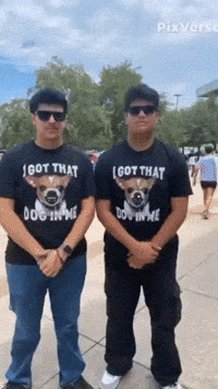 Dance Flip GIF