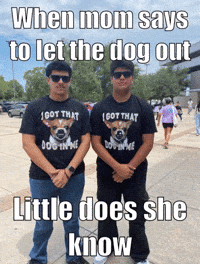 Dog GIF
