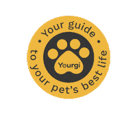 yourgi dp petinsurance yourgi destinationpet Sticker