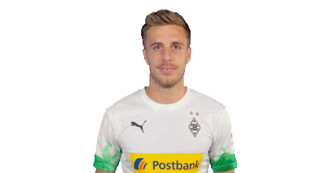 Patrick Herrmann Bundesliga Sticker by Borussia Mönchengladbach