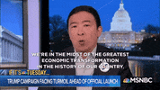 Andrew Yang GIF