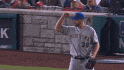Lets Go Yes GIF by MLB