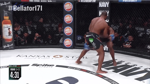 GIF by Bellator